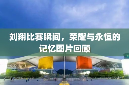 刘翔比赛瞬间，荣耀与永恒的记忆图片回顾
