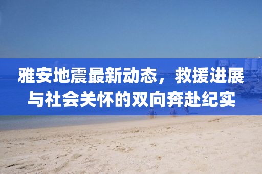 雅安地震最新动态，救援进展与社会关怀的双向奔赴纪实