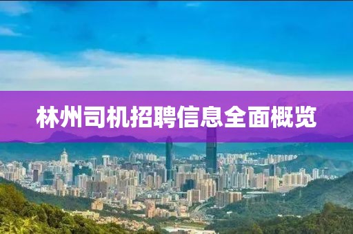 林州司机招聘信息全面概览