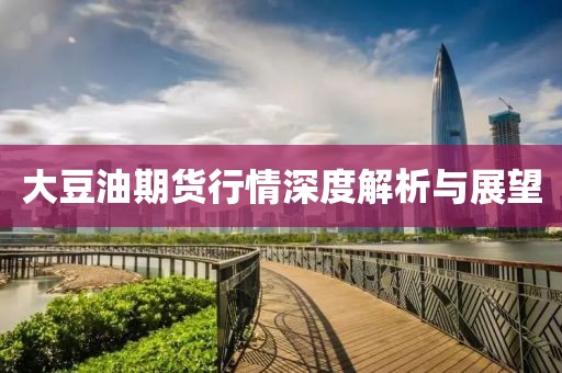 大豆油期货行情深度解析与展望