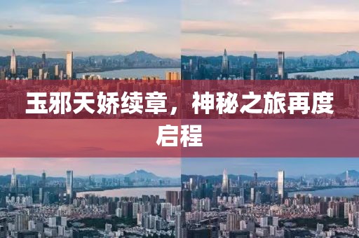寒枝不肯栖 第10页