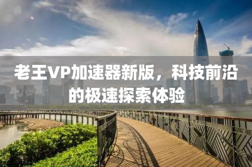 老王VP加速器新版，科技前沿的极速探索体验