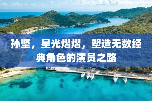 孙坚，星光熠熠，塑造无数经典角色的演员之路