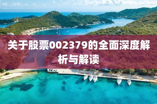 关于股票002379的全面深度解析与解读