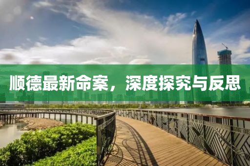 顺德最新命案，深度探究与反思