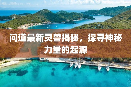 问道最新灵兽揭秘，探寻神秘力量的起源