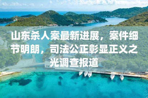 山东杀人案最新进展，案件细节明朗，司法公正彰显正义之光调查报道
