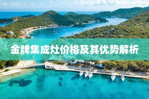 金牌集成灶价格及其优势解析