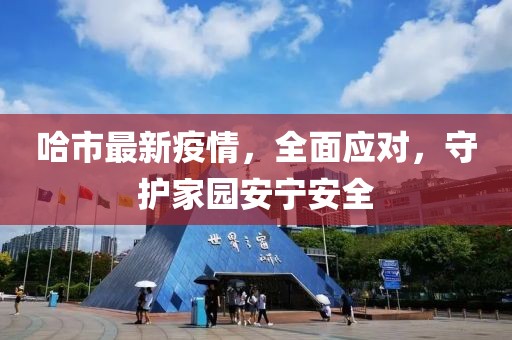 哈市最新疫情，全面应对，守护家园安宁安全