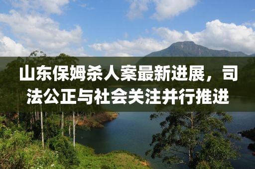 山东保姆杀人案最新进展，司法公正与社会关注并行推进