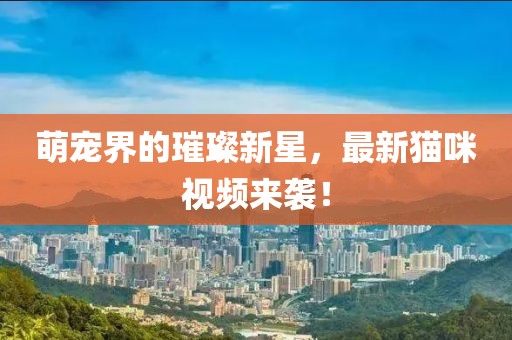 萌宠界的璀璨新星，最新猫咪视频来袭！