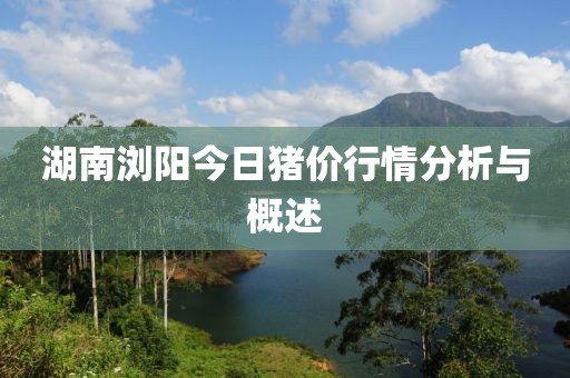 花开无言 第9页