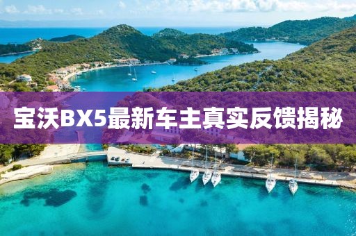 宝沃BX5最新车主真实反馈揭秘