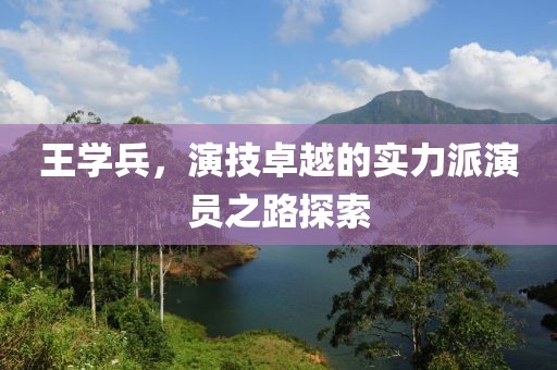 王学兵，演技卓越的实力派演员之路探索