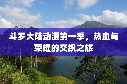 斗罗大陆动漫第一季，热血与荣耀的交织之旅