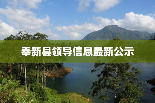 奉新县领导信息最新公示