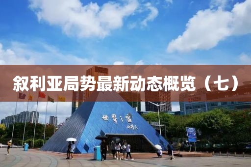 叙利亚局势最新动态概览（七）