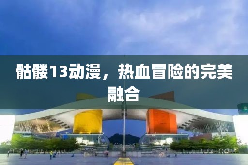 骷髅13动漫，热血冒险的完美融合