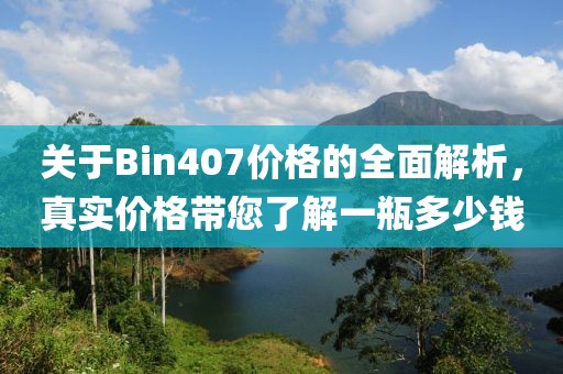 关于Bin407价格的全面解析，真实价格带您了解一瓶多少钱