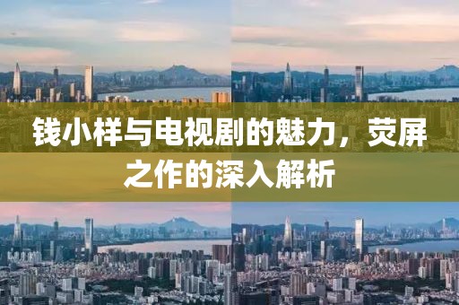 钱小样与电视剧的魅力，荧屏之作的深入解析