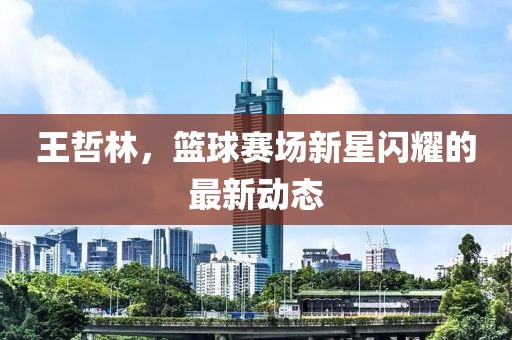 王哲林，篮球赛场新星闪耀的最新动态