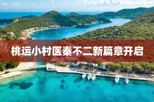 桃运小村医秦不二新篇章开启