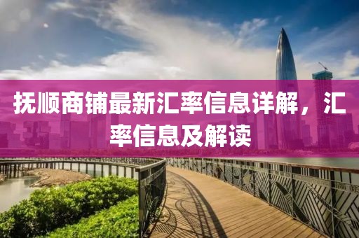 抚顺商铺最新汇率信息详解，汇率信息及解读