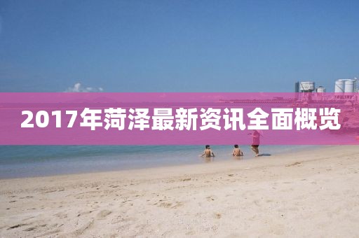 2017年菏泽最新资讯全面概览