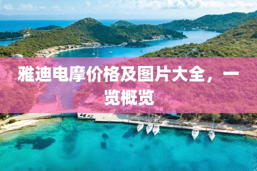 雅迪电摩价格及图片大全，一览概览