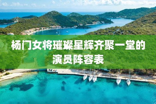 杨门女将璀璨星辉齐聚一堂的演员阵容表