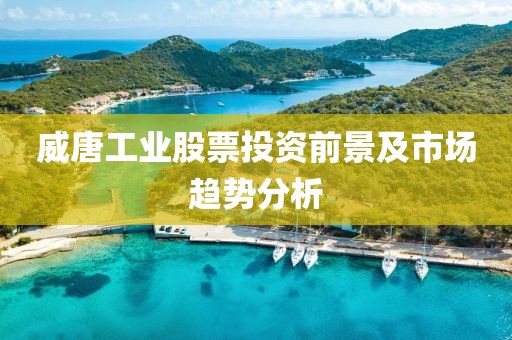 威唐工业股票投资前景及市场趋势分析
