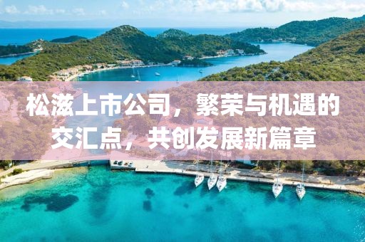 松滋上市公司，繁荣与机遇的交汇点，共创发展新篇章