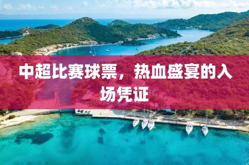 中超比赛球票，热血盛宴的入场凭证