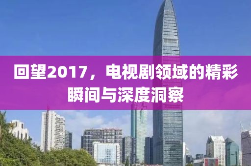 回望2017，电视剧领域的精彩瞬间与深度洞察