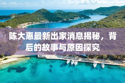陈大惠最新出家消息揭秘，背后的故事与原因探究