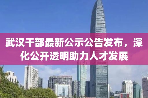 武汉干部最新公示公告发布，深化公开透明助力人才发展