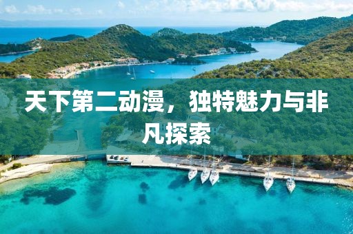 天下第二动漫，独特魅力与非凡探索