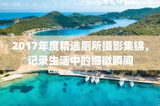 2017年度精选厕所摄影集锦，记录生活中的细微瞬间