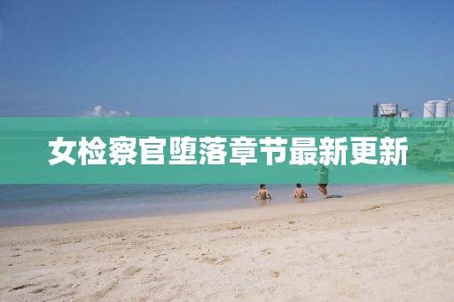女检察官堕落章节最新更新