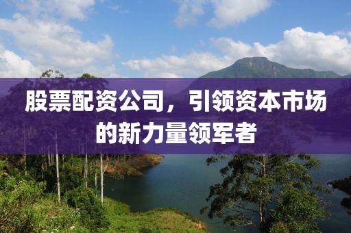股票配资公司，引领资本市场的新力量领军者
