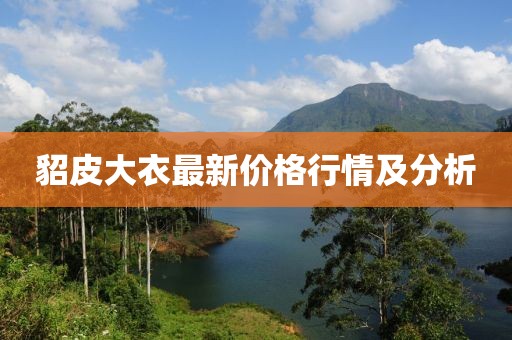 看到最后 第17页