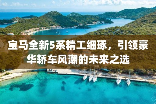 宝马全新5系精工细琢，引领豪华轿车风潮的未来之选