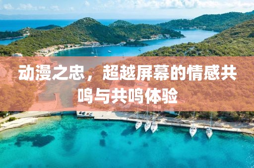 动漫之忠，超越屏幕的情感共鸣与共鸣体验