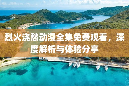烈火浇愁动漫全集免费观看，深度解析与体验分享