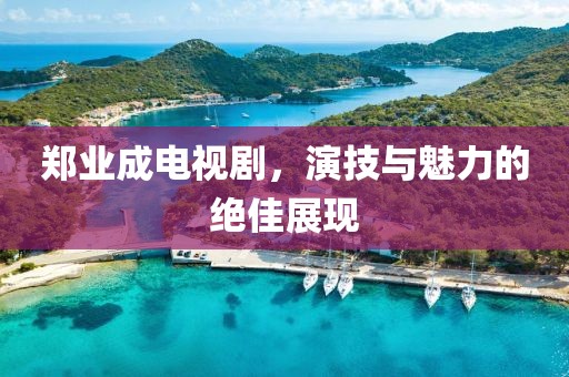 郑业成电视剧，演技与魅力的绝佳展现
