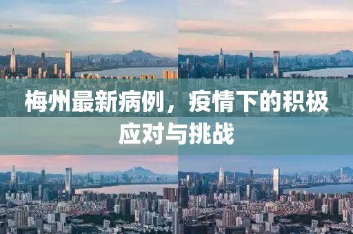 梅州最新病例，疫情下的积极应对与挑战