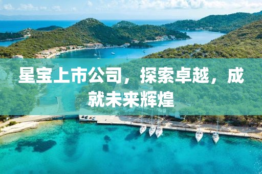 星宝上市公司，探索卓越，成就未来辉煌