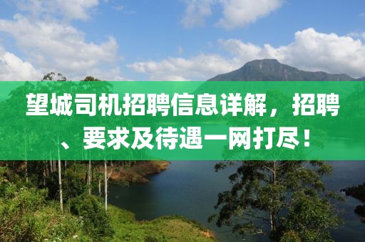 望城司机招聘信息详解，招聘、要求及待遇一网打尽！