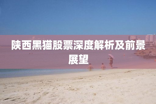 陕西黑猫股票深度解析及前景展望