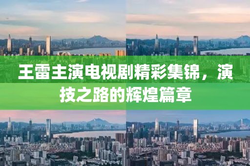 王雷主演电视剧精彩集锦，演技之路的辉煌篇章